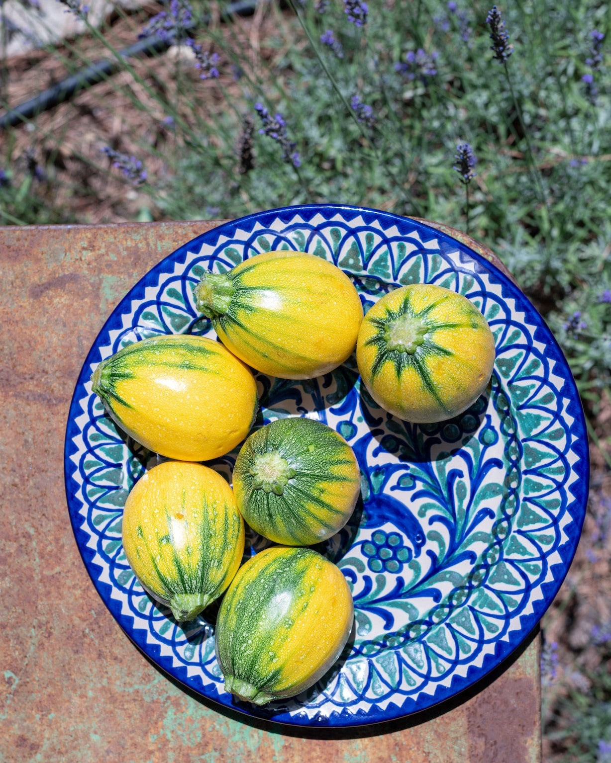 Plato Llano Oiseaux, Casa López( Paris)