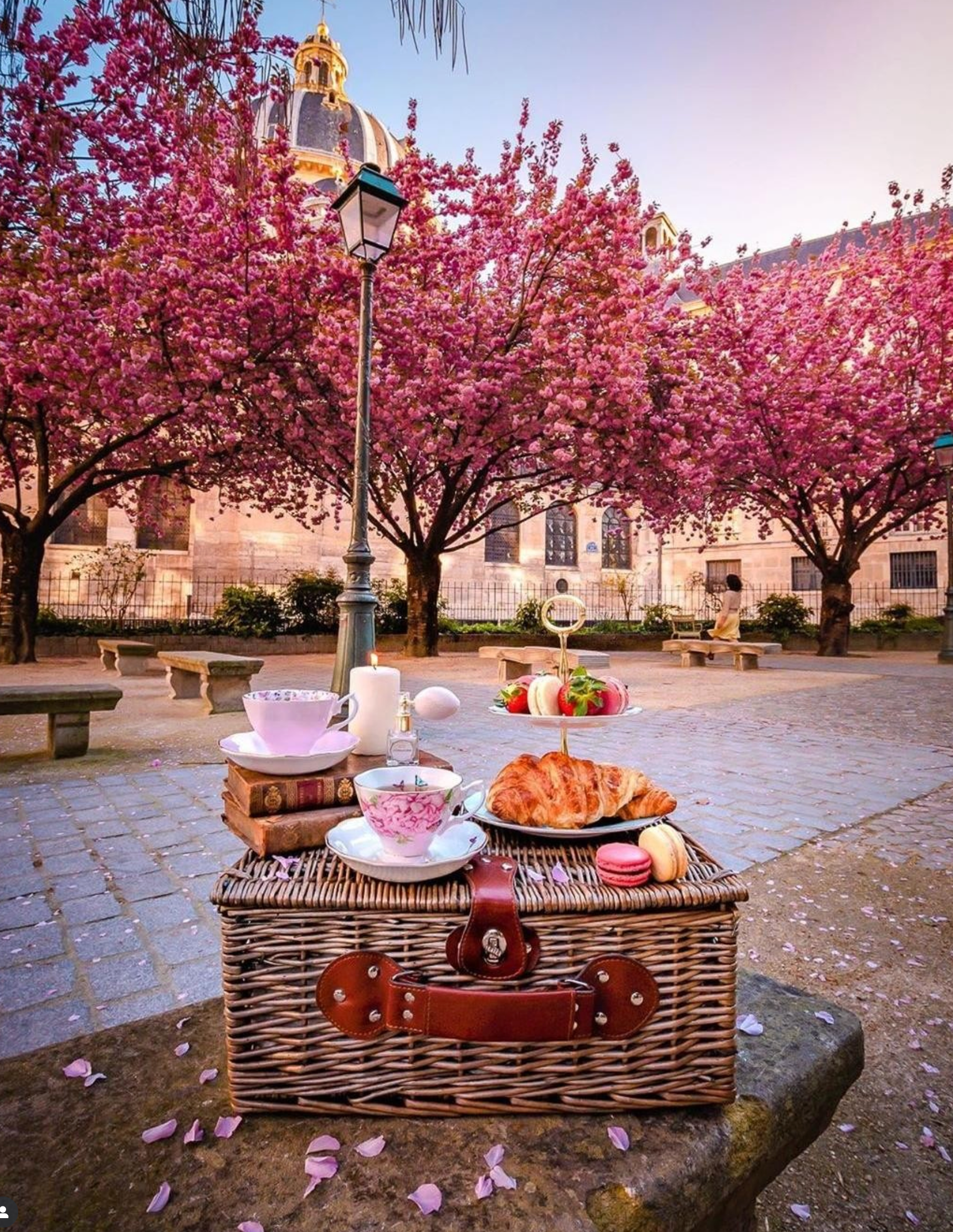 Taza de té c/plato, ROYAL ALBERT x Miranda Kerr, Friendship