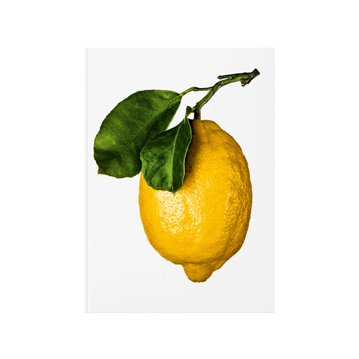 The Gourmand — The Gourmand’s Lemon - Nahia Home