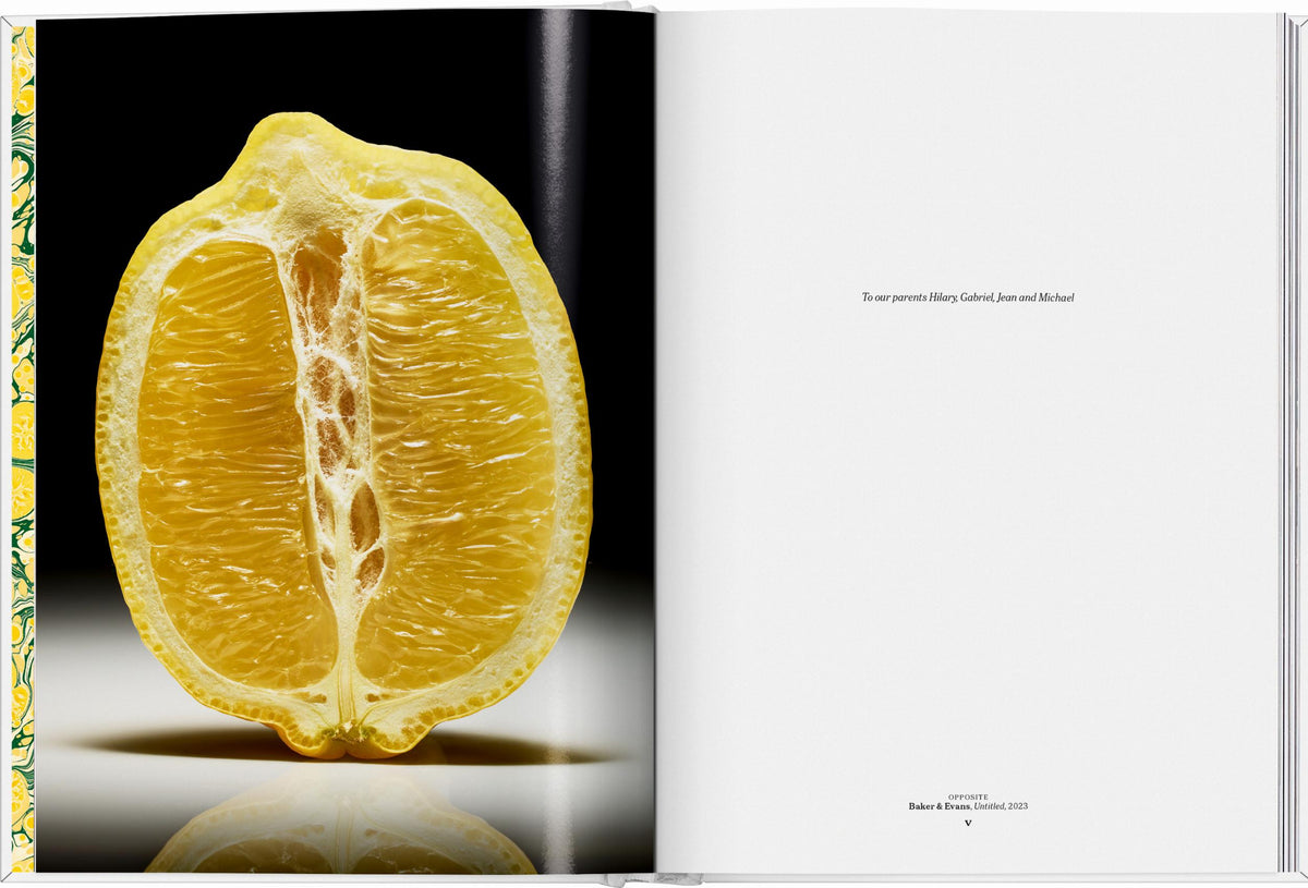 The Gourmand — The Gourmand’s Lemon - View 2 - Nahia Home